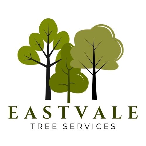 FairChoice Eastvale Tree Services Logo