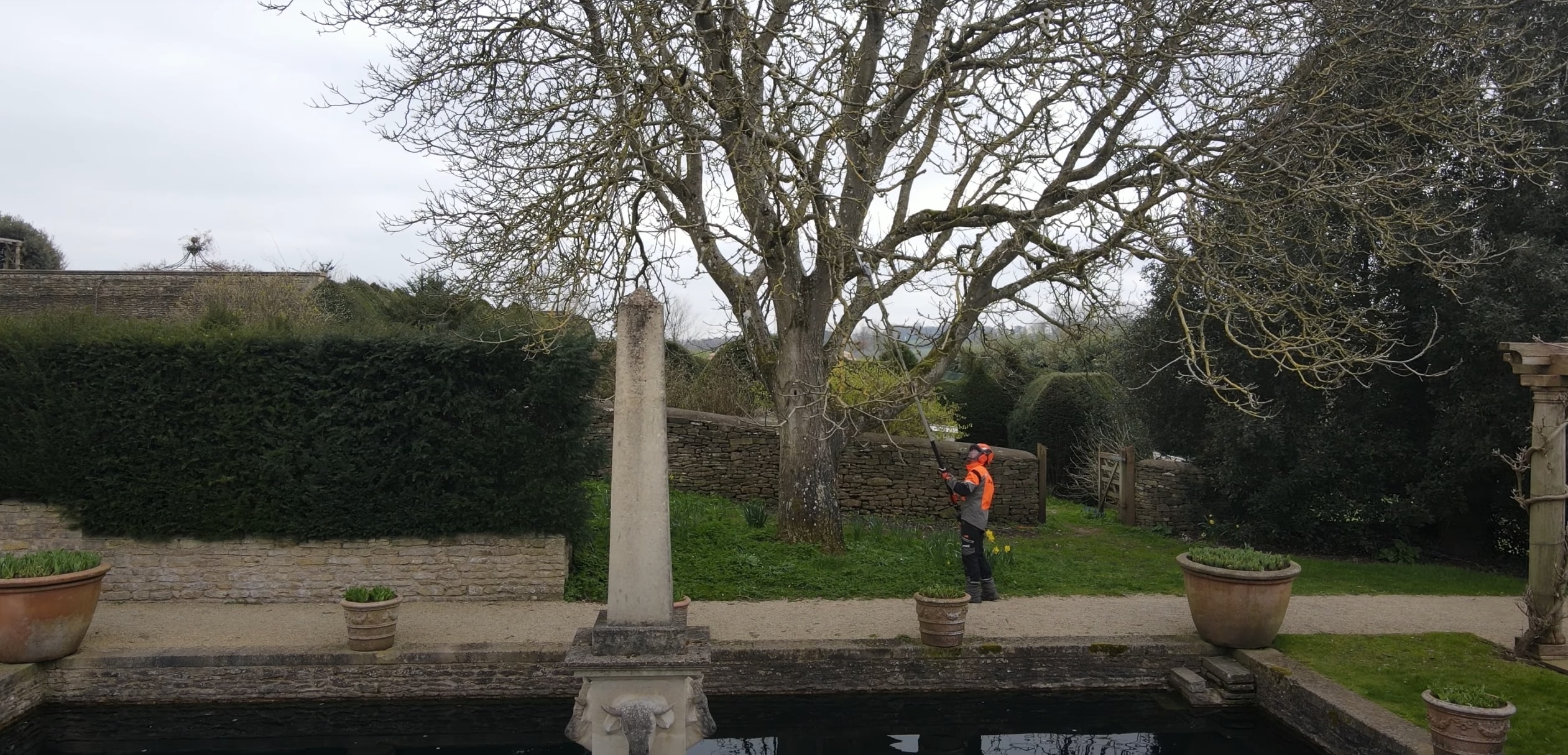 Tree Trimming & Pruning in Eastvale, CA